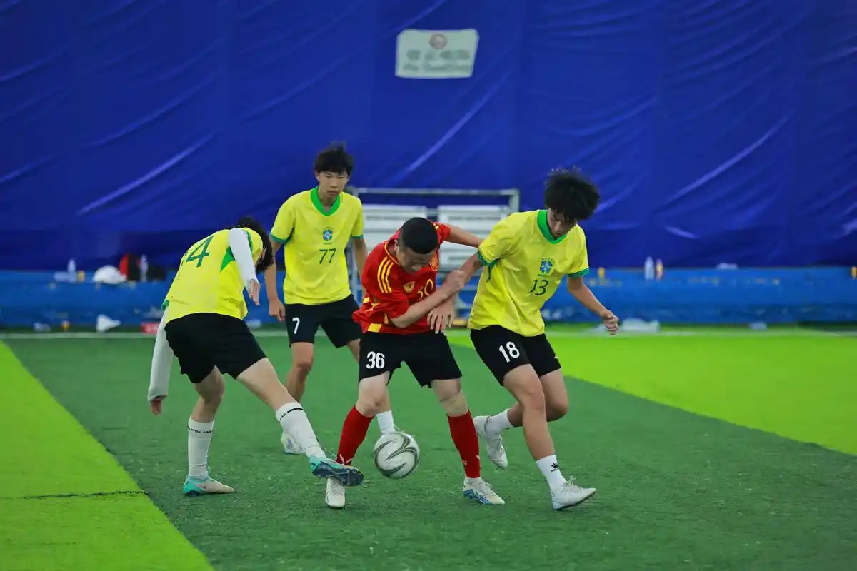 雨燕直播体育免费直播